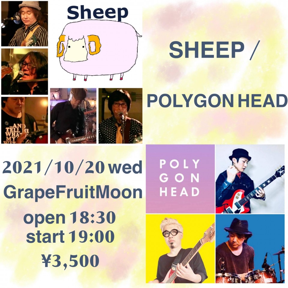 SHEEP / POLYGON HEAD