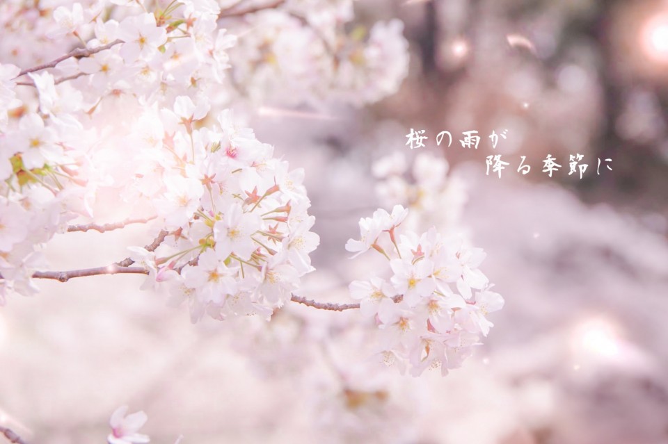 無観客プレミア配信ワンマンライブ〜桜の雨が降る季節に〜
